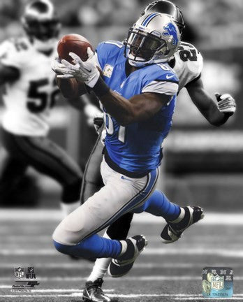 Calvin Johnson Spotlight 2013