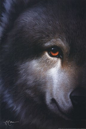 Endangered Wolf