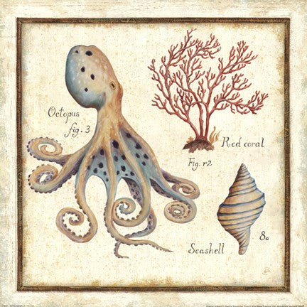 Oceanography I