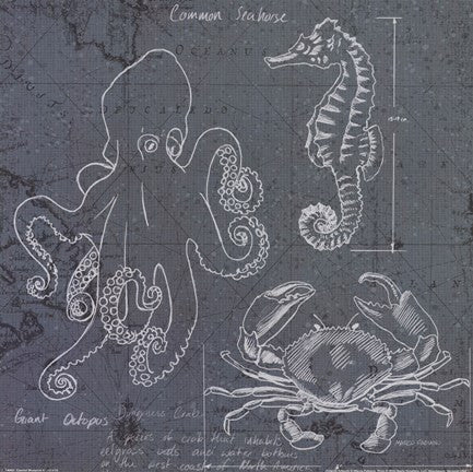 Coastal Blueprint II