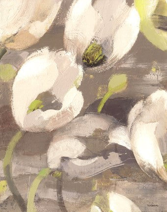 Tulip Delight I