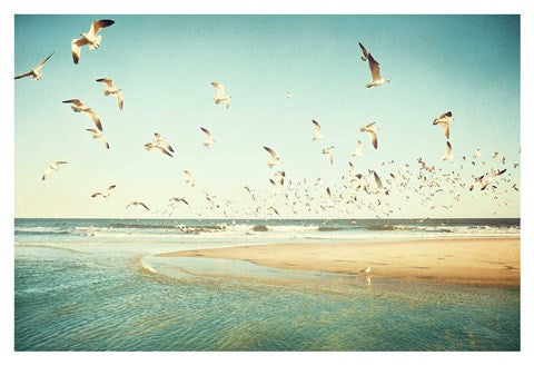 Freedom