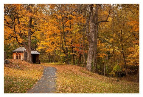 Autumn Home