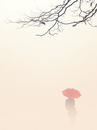 In Autumn Fog