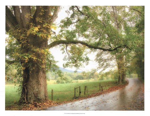 Wet Path