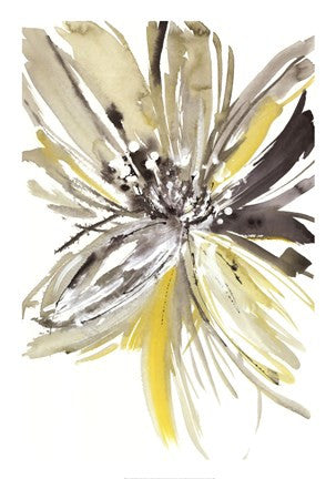 A Sunny Bloom