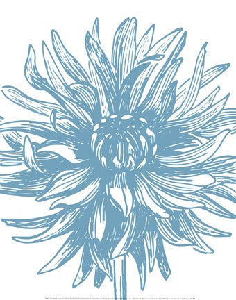 Florette II