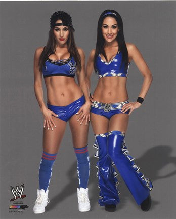 The Bella Twins 2014 in blue