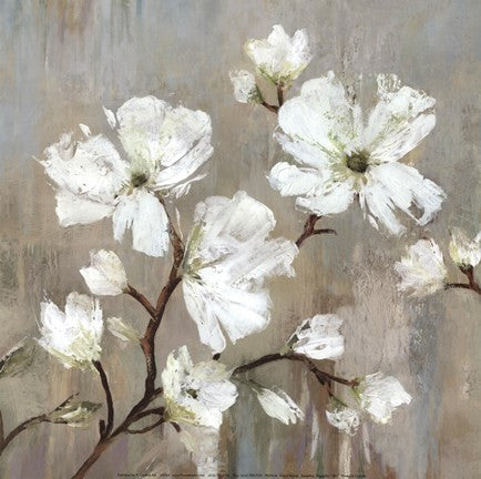 Sweetbay Magnolia I - Mini