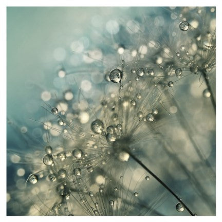Indigo Sparkles