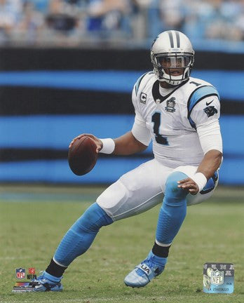 Cam Newton 2014 Action