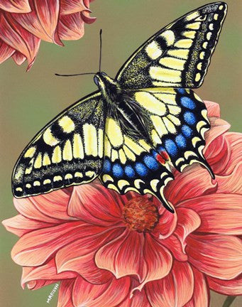 Yellow Swallowtail Butterfly