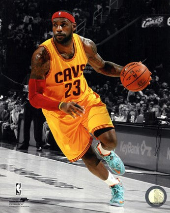 LeBron James 2014-15 Spotlight Action
