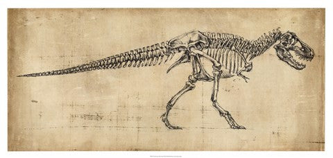 Tyrannosaurus Rex Study