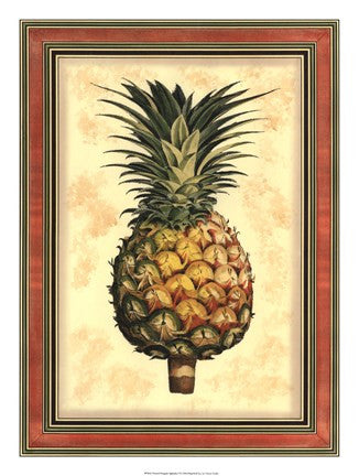 Pineapple Splendor I
