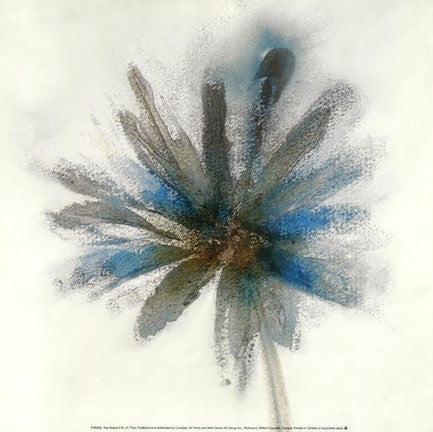 Teal Breeze II