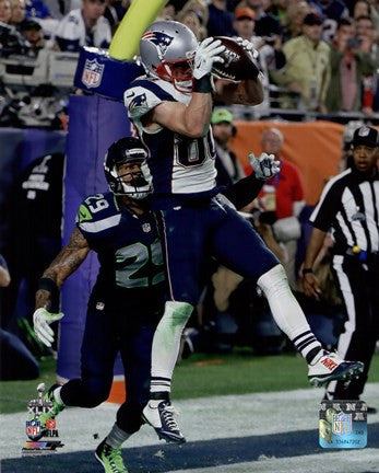 Danny Amendola Touchdown Super Bowl XLIX