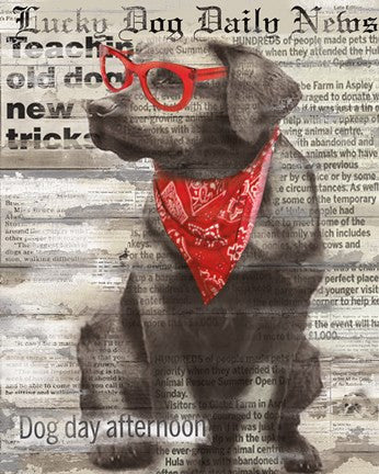 Lucky Dog