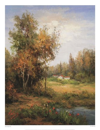 Poppies Pond