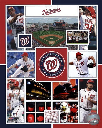 Washington Nationals 2015 Team Composite