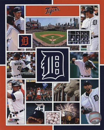 Detroit Tigers 2015 Team Composite