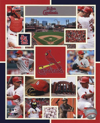 St. Louis Cardinals 2015 Team Composite