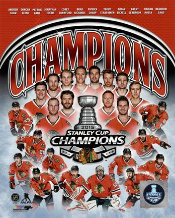 Chicago Blackhawks 2015 Stanley Cup Champions Composite