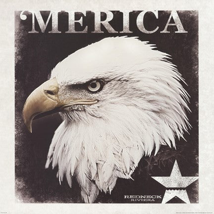 Merica Eagle