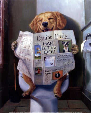 Dog Gone Funny