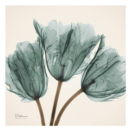 Tulip Sky