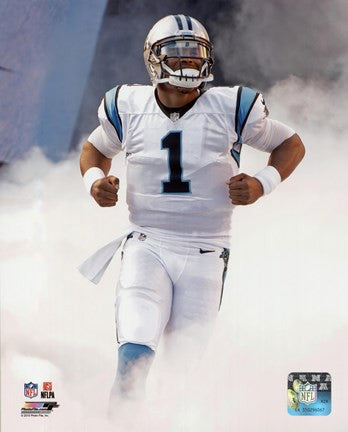 Cam Newton 2015 Action