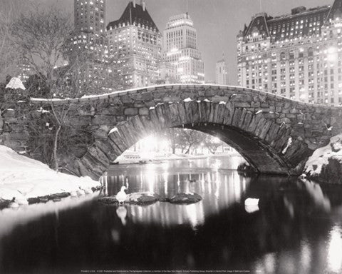 Snowfall In Central Park