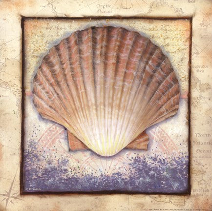 Shell