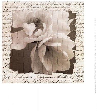 Woven Magnolia  I