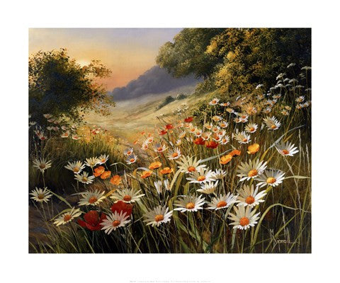 Evening Sun