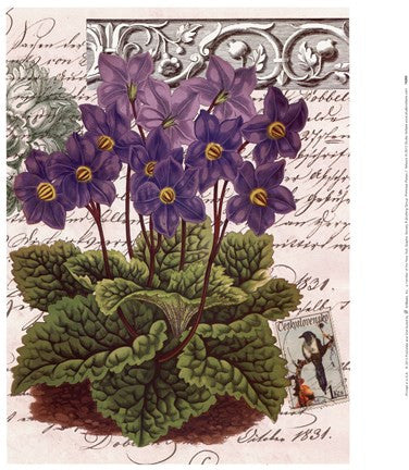 Primrose Posies 2