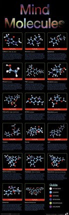 Mind Molecules