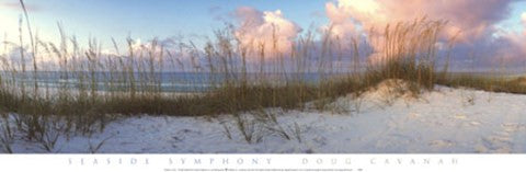 Seaside Symphony