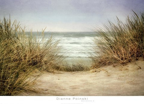 Sea Grasses 1