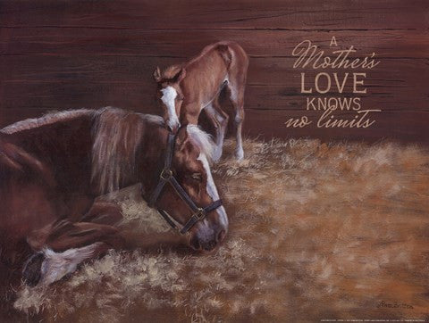 A Mother's Love