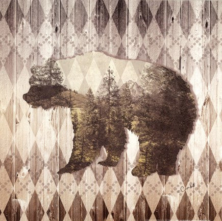 Wild Nature Bear