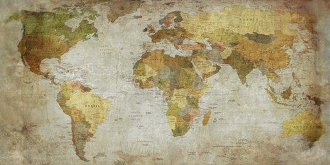Anima Mundi