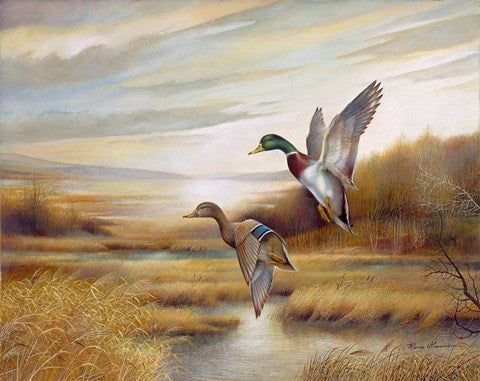 Mallards
