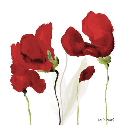 All Red Poppies II