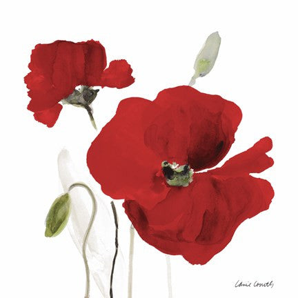 All Red Poppies I