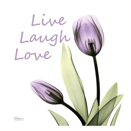Purple Tulips Live Laugh Love