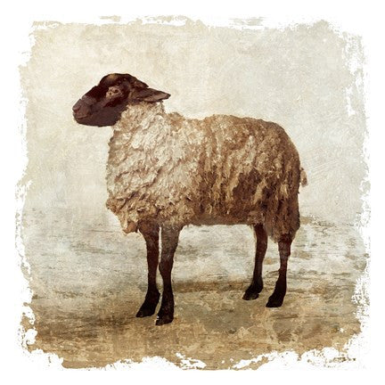 Rustic Sheep
