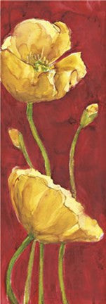Papaveri in Rosso
