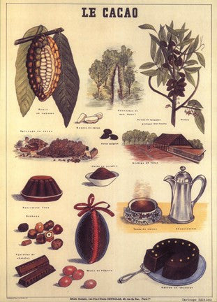 Cacao