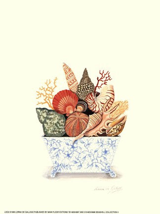 Seashell Collection II